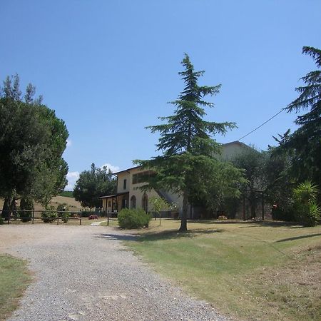 Agriturismo Podere Selvette Campagnatico Exterior foto