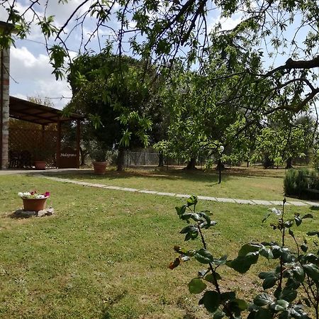 Agriturismo Podere Selvette Campagnatico Exterior foto