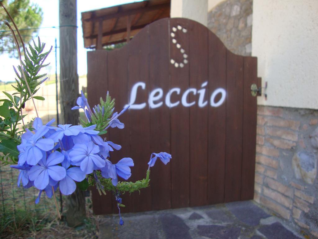 Agriturismo Podere Selvette Campagnatico Exterior foto