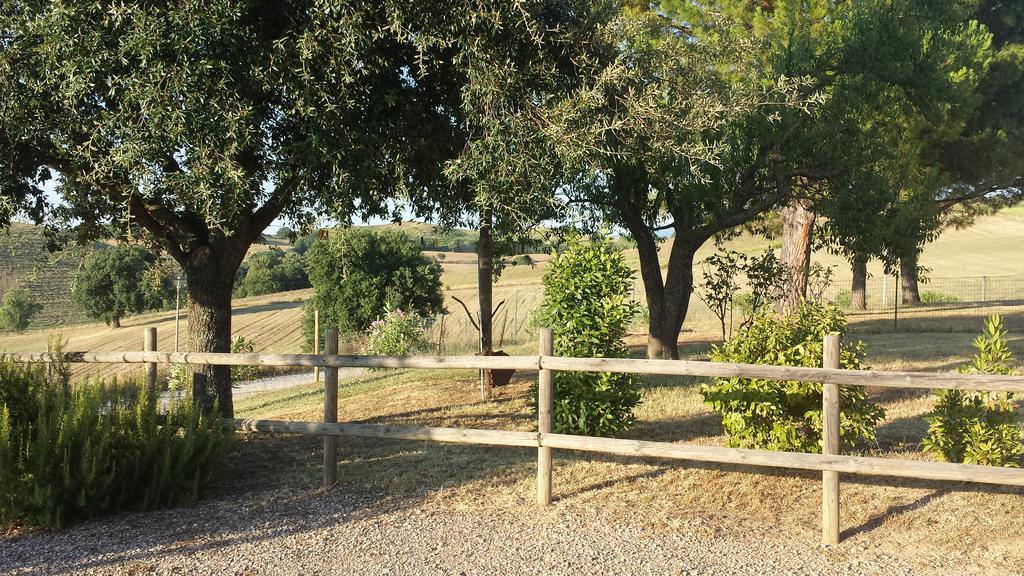 Agriturismo Podere Selvette Campagnatico Exterior foto