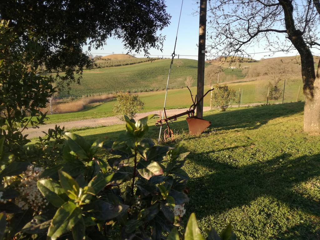 Agriturismo Podere Selvette Campagnatico Exterior foto