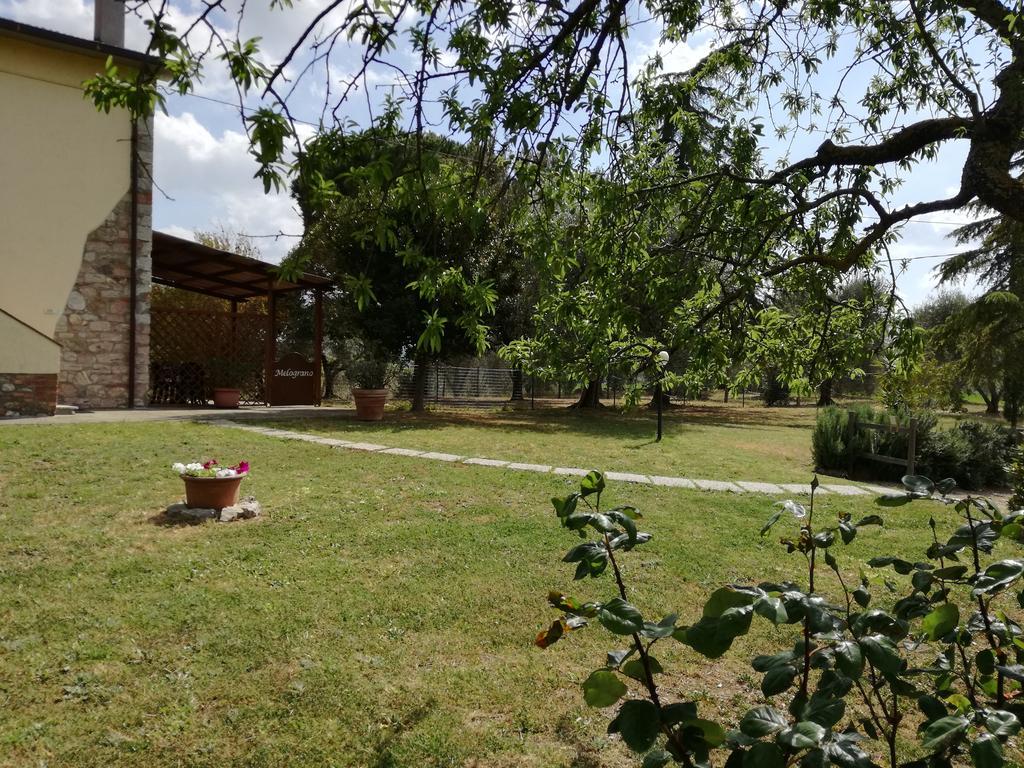 Agriturismo Podere Selvette Campagnatico Exterior foto