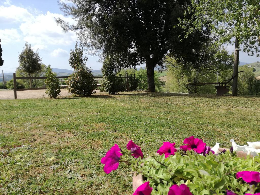 Agriturismo Podere Selvette Campagnatico Exterior foto
